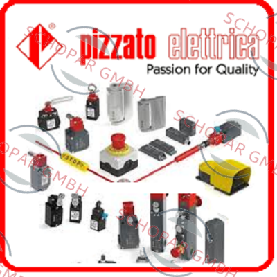Pizzato Elettrica logo