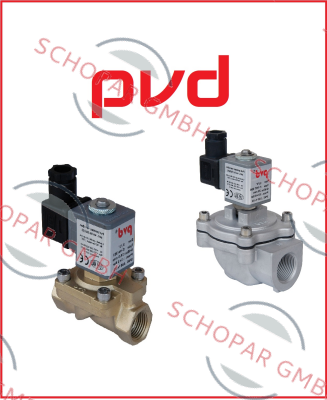 Pvd logo