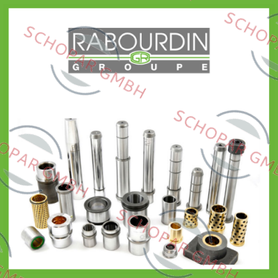Rabourdin logo