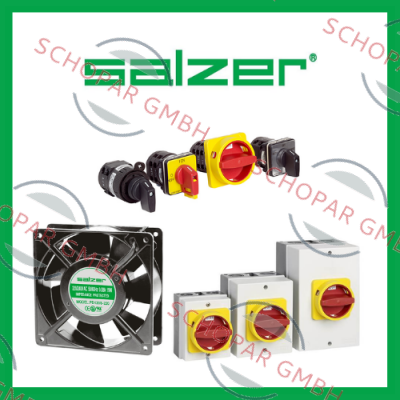 Salzer logo
