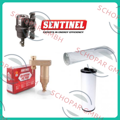 Sentinel logo
