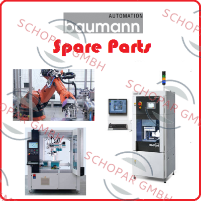 Baumann logo