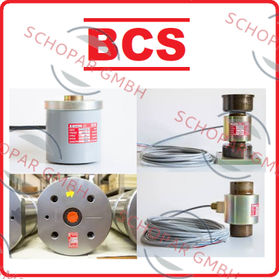 Bcs logo