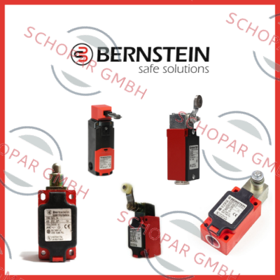 Bernstein logo