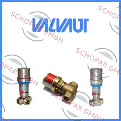 Valvaut logo