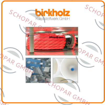 Birkholz logo