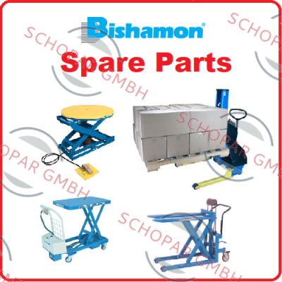 Bishamon logo