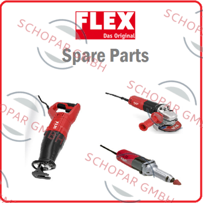FLEX logo