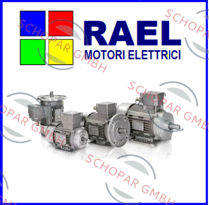 RAEL MOTORI ELETTRICI logo