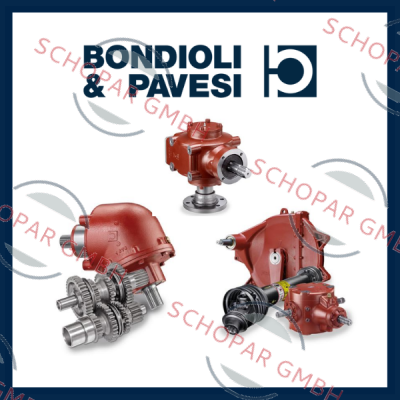 Bondioli & Pavesi logo