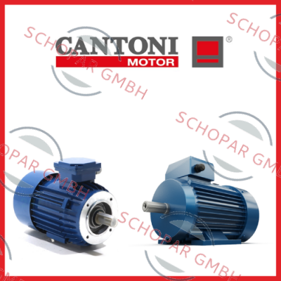 Cantoni logo