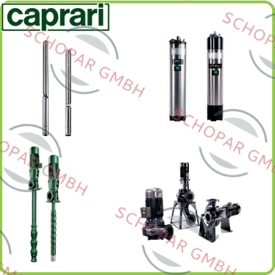 CAPRARI logo