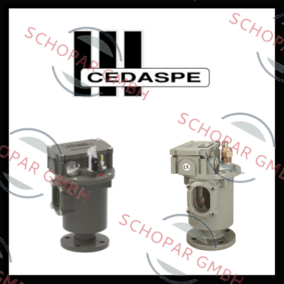 Cedaspe logo