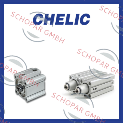 Chelic logo