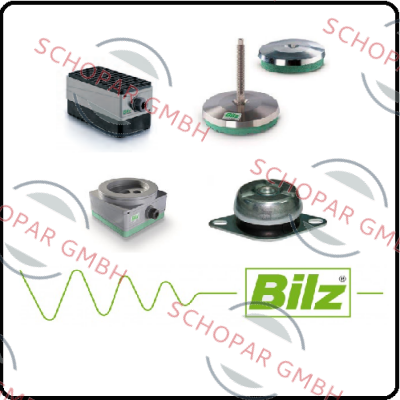 Bilz Vibration Technology logo
