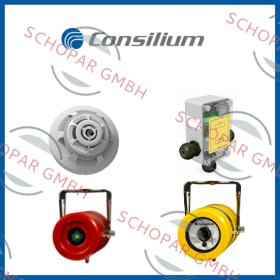 Consilium logo
