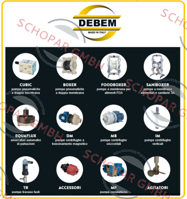 Debem logo