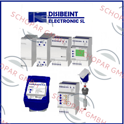 Disibeint logo