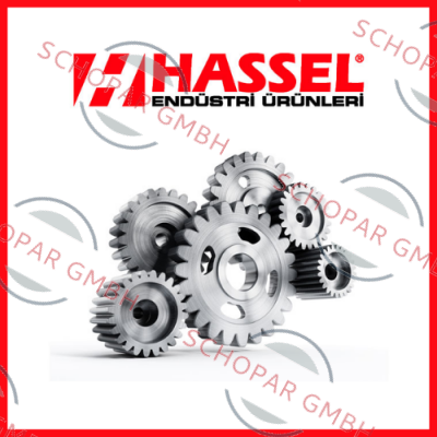Hassel logo