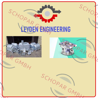 Leyden logo