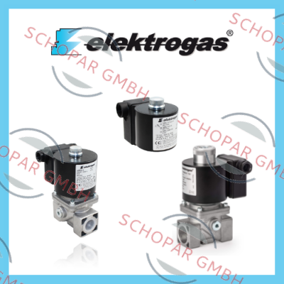 Elektrogas logo
