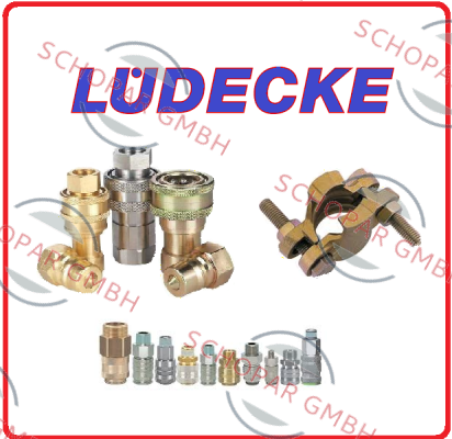 Ludecke logo