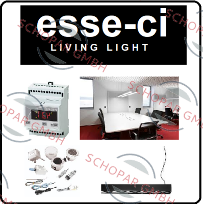 Esseci logo