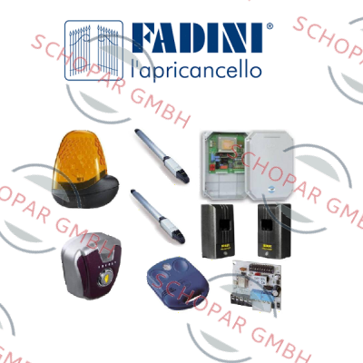 FADINI logo