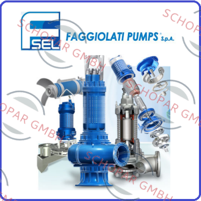 Faggiolati logo
