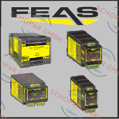Feas logo