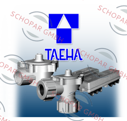TAE-HA MACHINERY logo