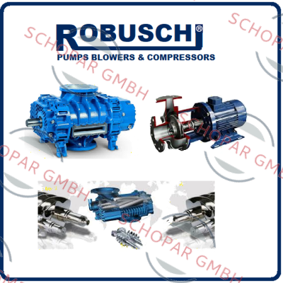 Robuschi logo