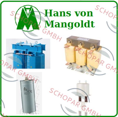 Hans von Mangoldt logo