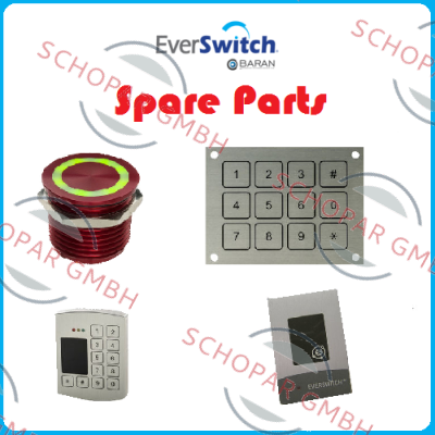 Everswitch logo