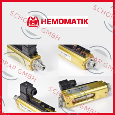 Hemomatik logo