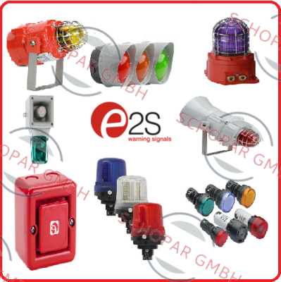 E2S logo