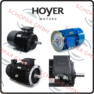 Hoyer Motors logo