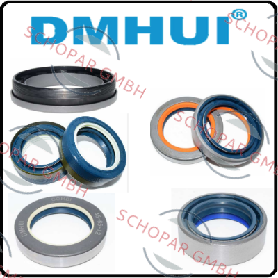 DMHUI logo
