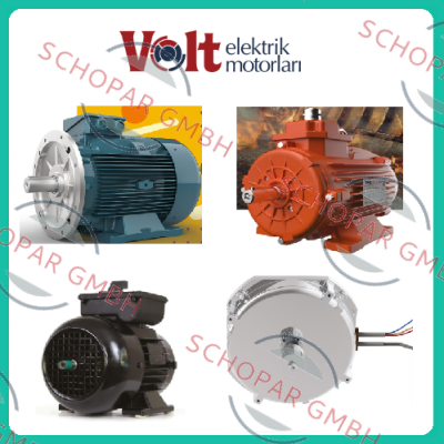 Volt Elektrik Motor logo