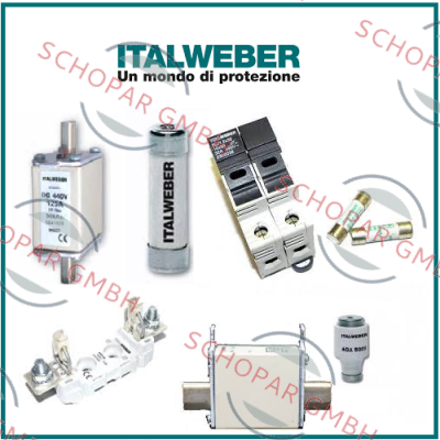 Italweber logo
