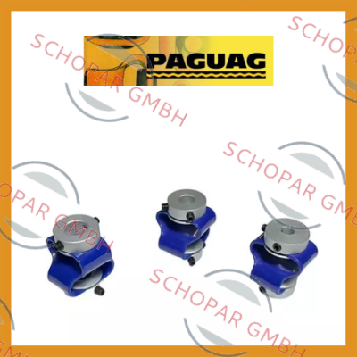 Paguflex logo