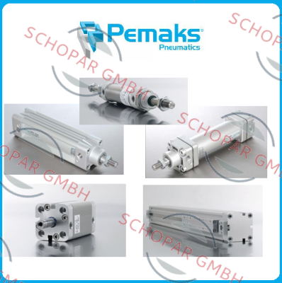 Pemaks logo