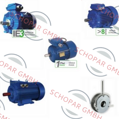 Cantoni-2SIEK100L4A price