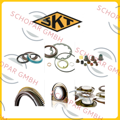 SKT-410107(85X11X13 L3) price