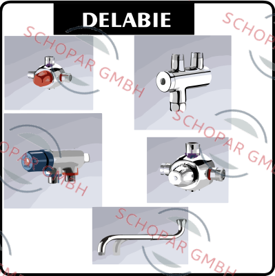 Delabie-494006 price