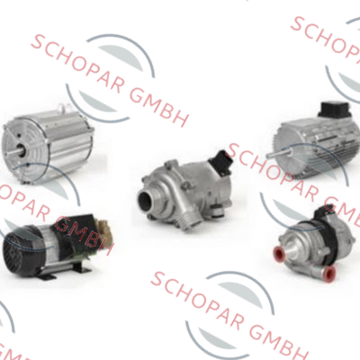 RPM - Motori elettrici-11072100 price