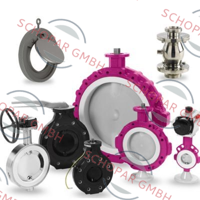 Warex-5132 / DN 80 price