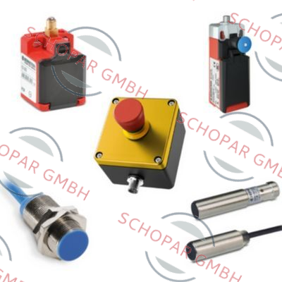 Bernstein-6018119045 SLK-F6C-55-R1-A0-L0-0 price