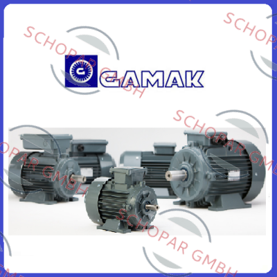 Gamak-AGM2E 100 L 6 price