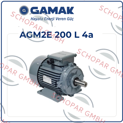 Gamak-AGM2E 200 L 4 price